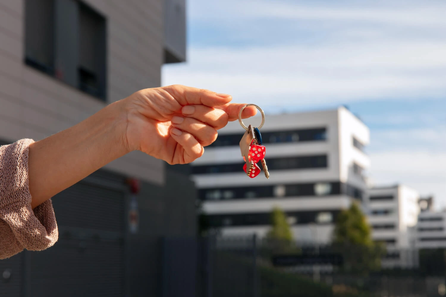 guide of rent house in dubai